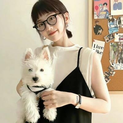 绝代双骄电影版